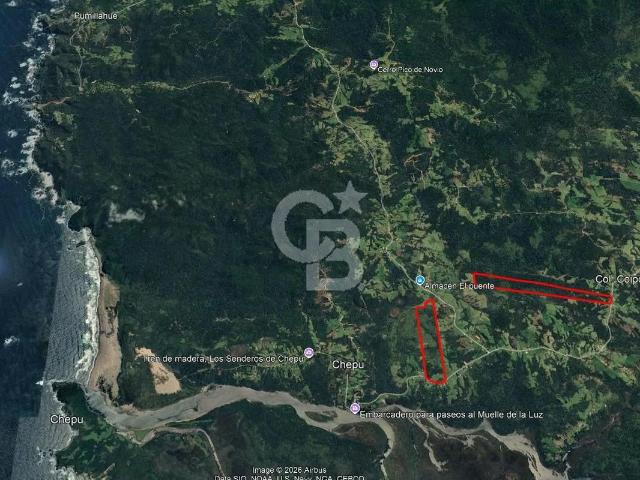 46,35 há en Valle de Chepu, Ancud sobre carretera | 0 dormitorios por 8920.00 en Ancud