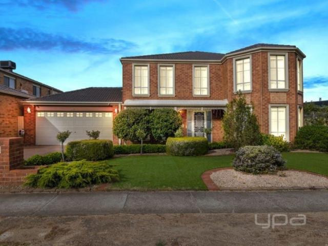 46 Westlake Drive, MELTON WEST