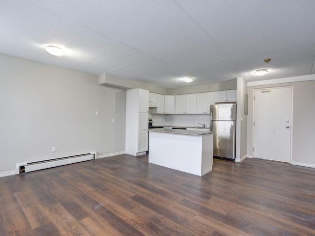 46 Gale Crescent 1 bedroom Apartment for Rent