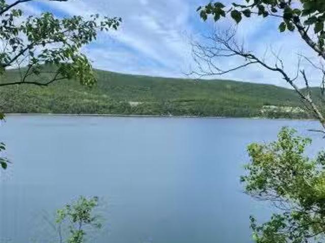 46 Harbour Drive, Adeytown, NL, A0E 2B0 vacant land for sale.