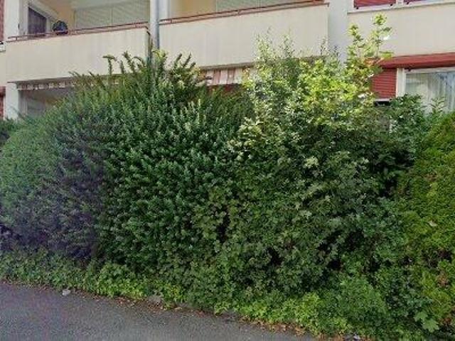 46 m2 apartment for rent in Zürich Distrikt 9