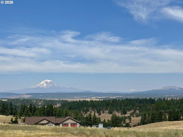 46 palomino dr