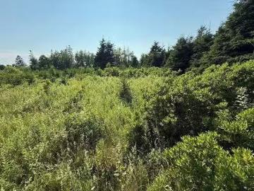 46 Sheri Court, Birch Hill, PE, C0B 2C0 vacant land for sale.