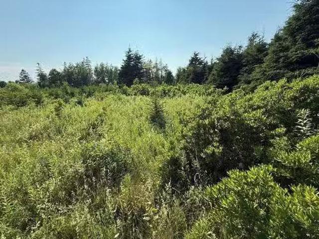 46 Sheri Court, Birch Hill, PE, C0B 2C0 vacant land for sale.