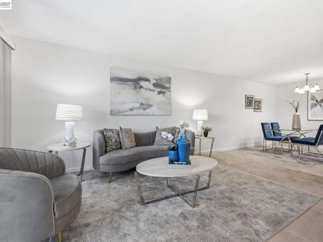 47112 Warm Springs Blvd 313