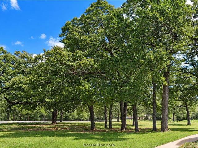 4728 Enchanted Oaks Drive
