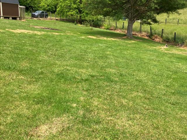 475 Gerald Carr Br, Flat Gap, KY
