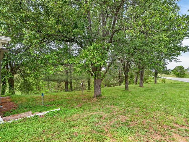 475 State Park Road
