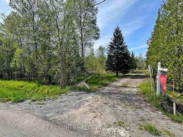 4778 Holborn Road, East Gwillimbury, ON, L0G 1N0 house for sale | Listing ID N13629 | Royal LePage