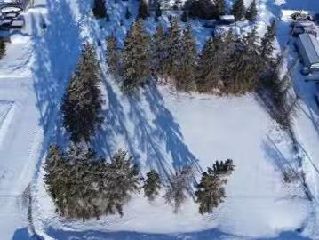 4803 50 Street, Busby, AB, T0G 0H0 vacant land for sale Lis.