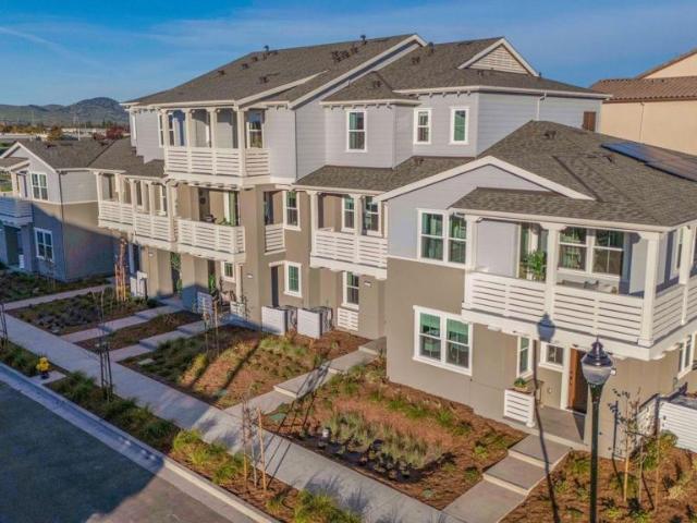 4810 Dolcetto Common