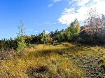481 Clough Road, Barriere, BC, V0E 2H0 vacant land for sale.