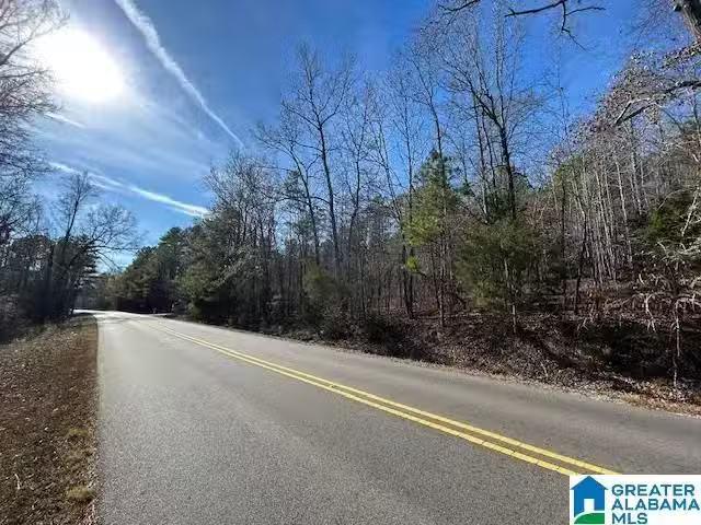 481 ANGEL DRIVE N # 1 & 2, JACKSONVILLE, AL 36265