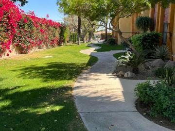 Indio, Indio city Coachella Valley CCD Riverside County California, Indio city, Riverside County, California, USA