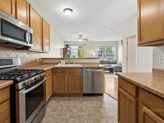 482 Telluride Drive