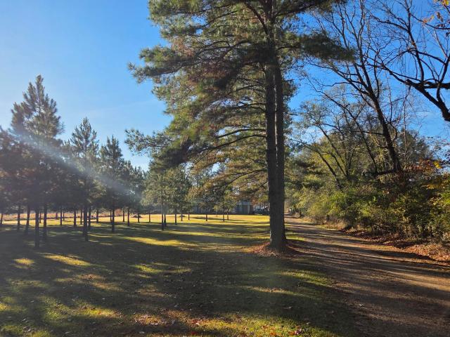 4839 Cayuga Rd, Utica, MS 39175 | MLS #4133