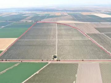 Valdez,  Clarksburg CCD Yolo County California, Yolo County, California, USA