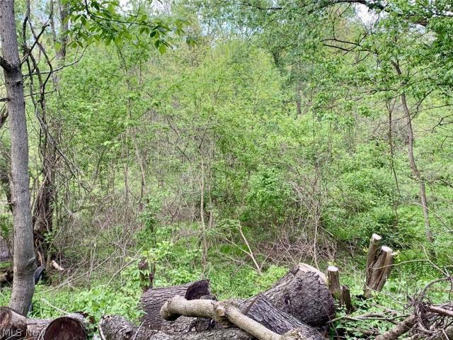 486 Deersville Avenue