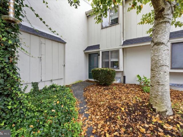 486 Summit House # 486