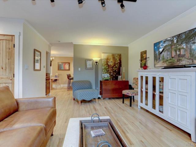 4885 Silver Spruce Lane