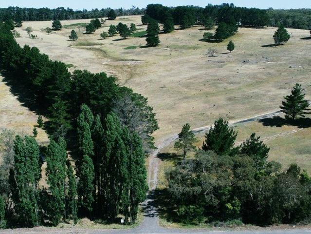 48 Hectares Rural Property With Two Dwellings Paddy's River