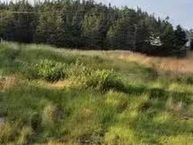 48 Old Settlement Hill, Freshwater Placentia, NL, A0B 1W0 va.