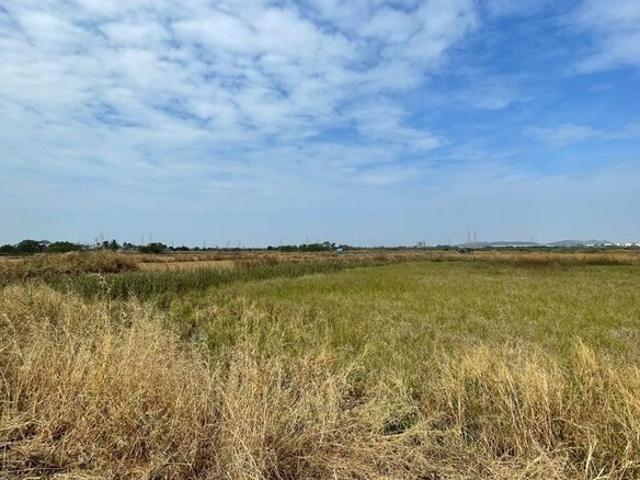 4909 Sq.Ft. Plot in Panvel Navi Mumbai Listing ID: #10119