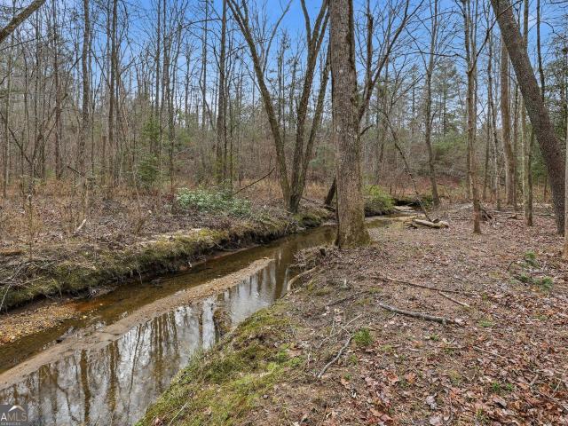 491 Jim Carter Road