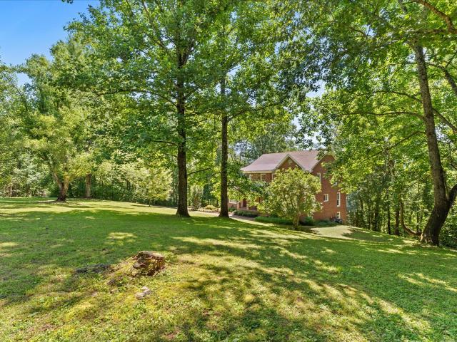 494 Deer Ridge Ln