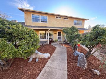 494 Surrey Ct, Murphys, CA 95247 | MLS #226032