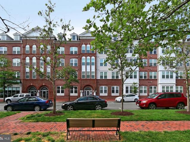 4950 Brenman Park Drive # 203