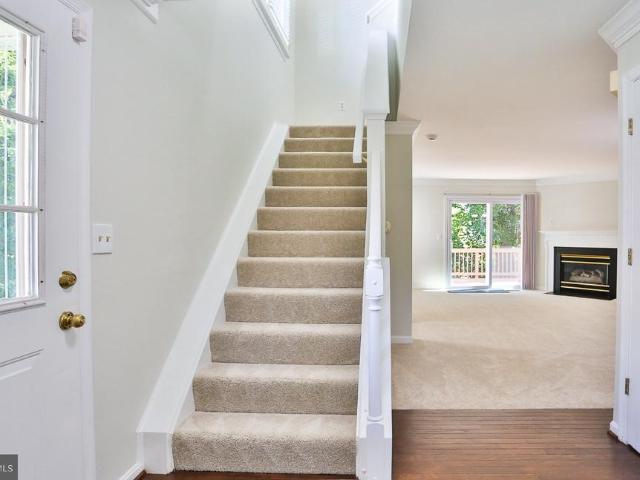 4977 Buena Vista Drive