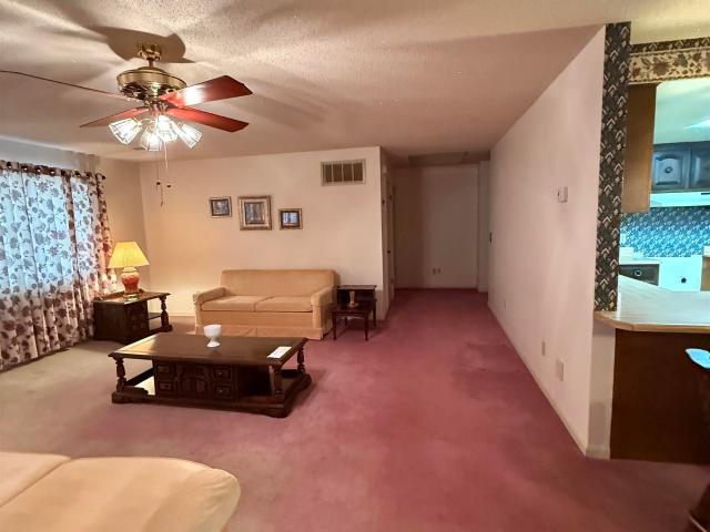 497 Timberlane Drive