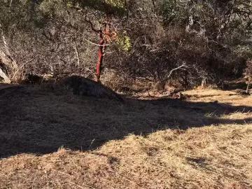 4983 PUEBLO TRL, COPPEROPOLIS, CA 95228