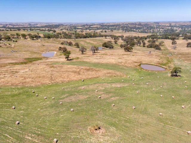 49.83 HA Sustainability and Top of the World Views