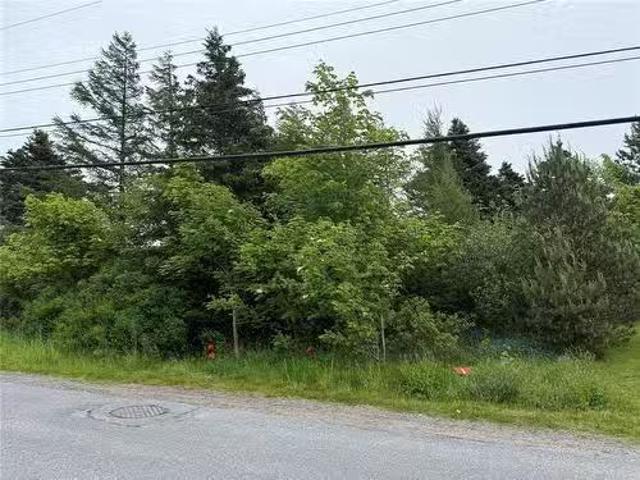 49 Back Road, Upper Island Cove, NL, A0A 4E0 vacant land for.