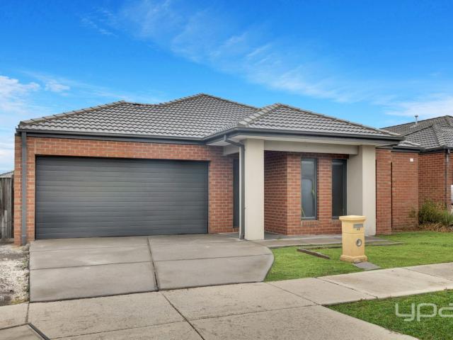 49 Dingo Street, Point Cook