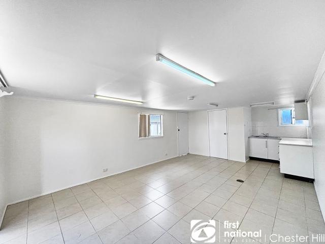 49A Mona Street, Auburn