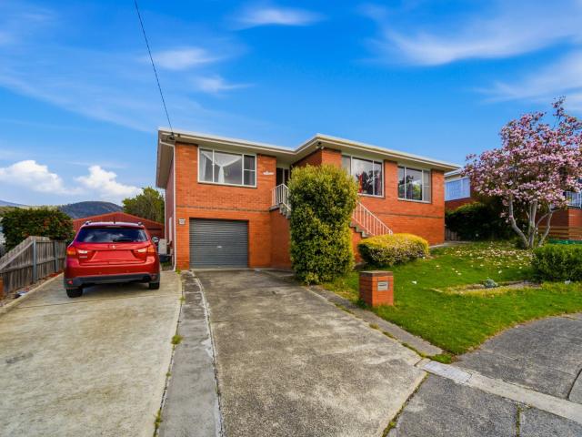 4 mascot ct, rosetta