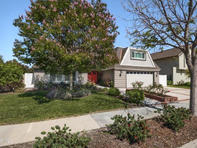 4 Beatty Place