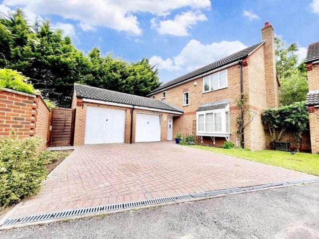 4 bed house to rent