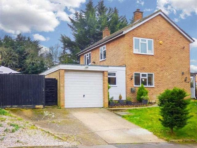 4 bed house to rent