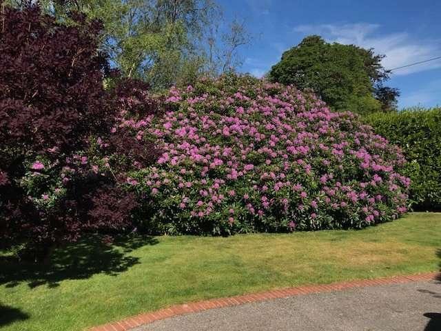 4 bed house for sale