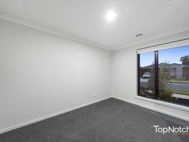 4 bedder Family home Move In Ready & Full of Light!