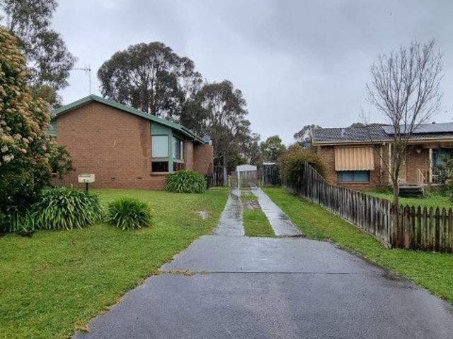 4 Bedroom!