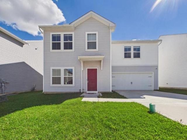 4 bedroom, Akron OH 44320 105896964