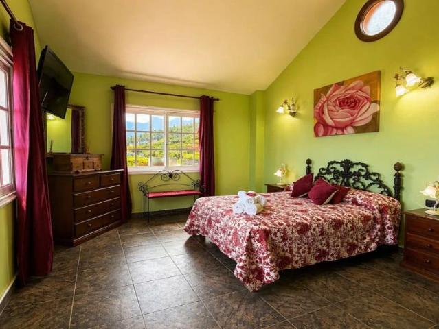 4 bedroom apartment for rent in Arafo, bills included