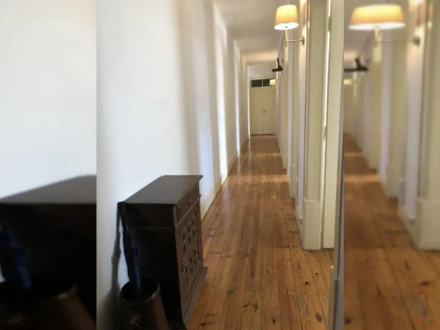 4 bedroom apartment for rent in Coimbra, bills excluded