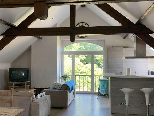 4 bedroom apartment in Quartier Maritime, Brussels