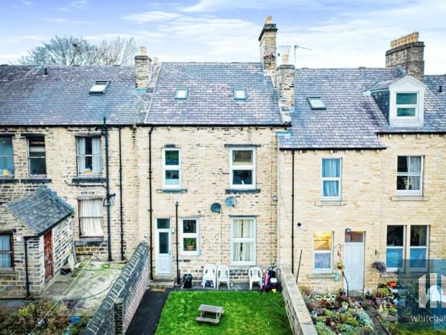 4 bedroom apartment to rent